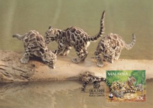 Clouded Leopard Malaysia Giant Cat WWF Stamp First Day Cover Postcard