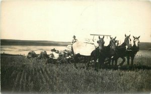 C-1910 Farm agriculture horse harvest team RPPC Photo Postcard 22-4061