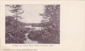 Massachusetts South Wareham Foilage And Water Scene