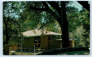 YUCAIPA, CA California ~ Oak Glen ~ PILGRIM PINES CAMP 1985 Postcard