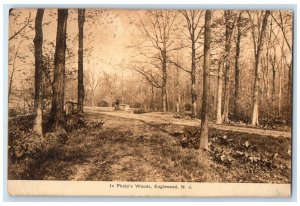 1908 Phelp Woods Bridge Bicycle Englewood New Jersey NJ Vintage Antique Postcard 