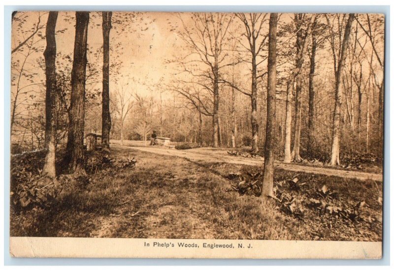 1908 Phelp Woods Bridge Bicycle Englewood New Jersey NJ Vintage Antique Postcard 