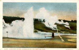 WY - Yellowstone National Park. Constant Geyser, Norris Basin    (Haynes)