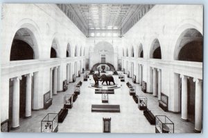 1960 Chicago Illinois Vintage Postcard History Museum Stanley Field Hall Central