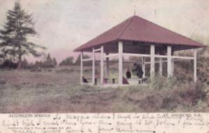 Algonquin Springs St Andrews Canada Old Postcard