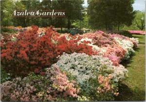 Postcard OK Muskogee - Azalea Gardens at Honor Heights Park