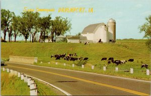 Davenport IA Iowa Sunny Countryside Cattle Grazing Barn Road Unused Postcard H16