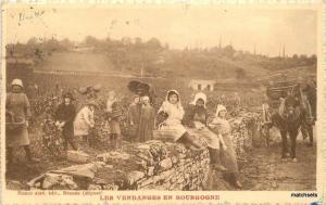 1929 Grape Harvest wine farming Agriculture Les Vendages en BOURGOGNE France