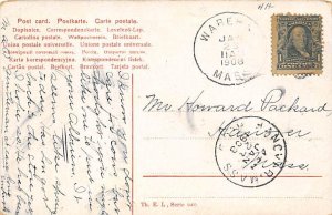 Cattle on Trail Cow Postcard