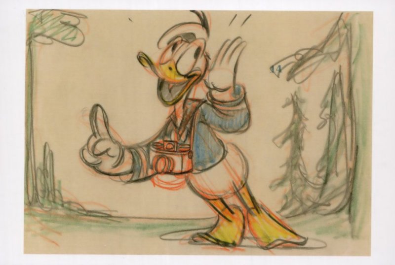 Donald Duck Camera WW2 Cartoon Painting Walt Disney Postcard
