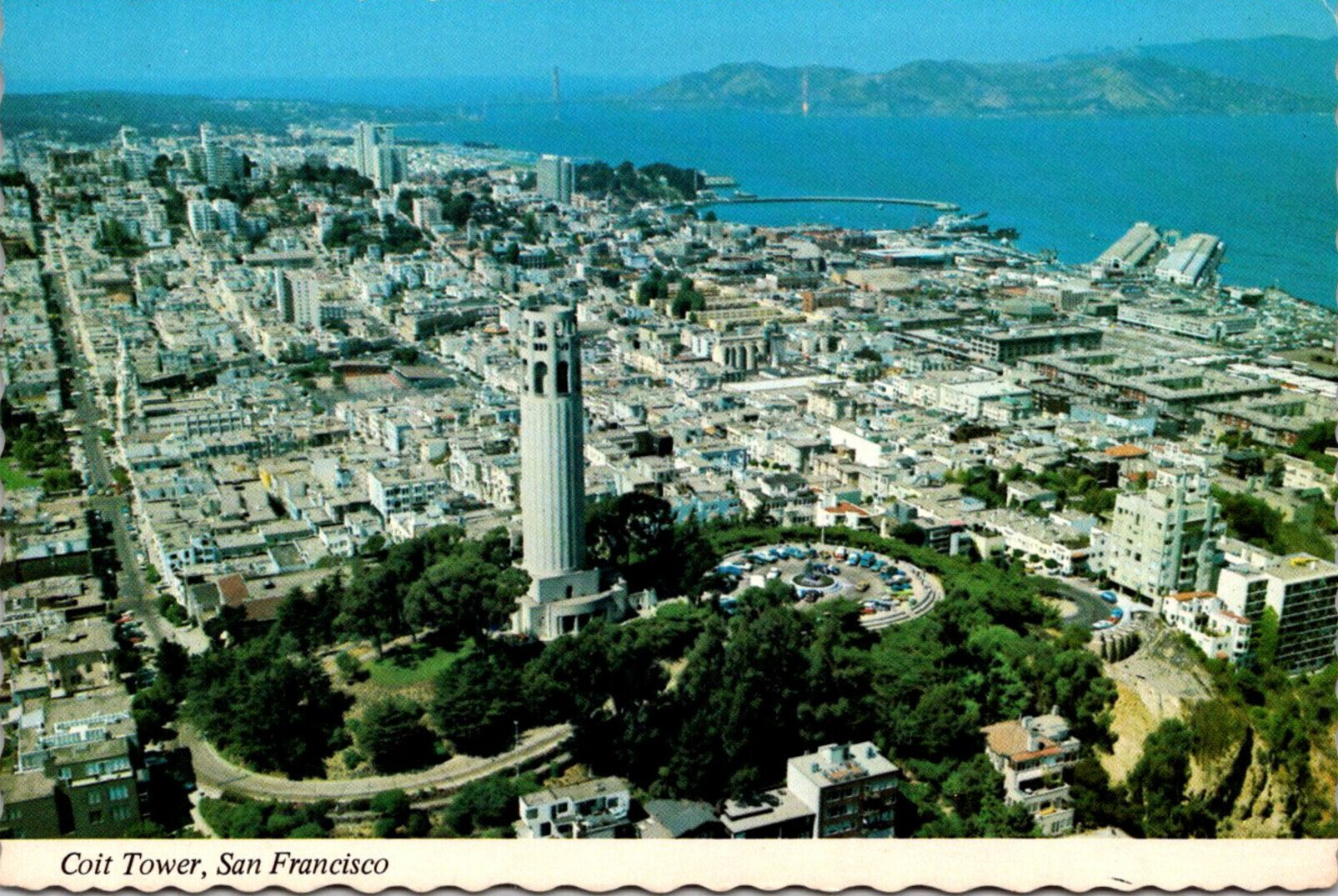 coit tower view