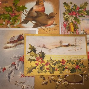 Christmas Post Card Lot of 22 - Birds, Holly, Poinsettia all unposted