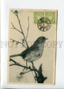 3169331 Bird POST from JAPAN to RUSSIA 1910 vintage PC