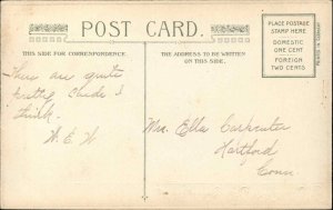 Winsch St Patrick's Day Killarney Ireland Meeting of the Waters c1910 Postcard