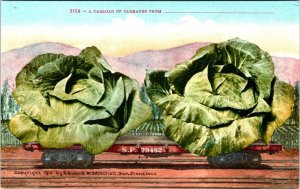 3~ca1910's Mitchell Exaggeration Postcards LEMON~CABBAGE~BLACKBERRIES Train Cars
