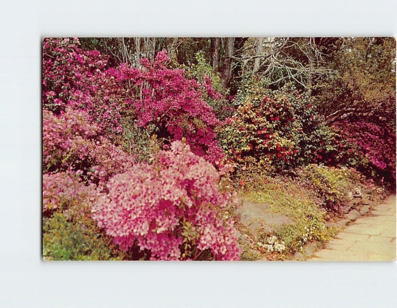 Postcard Scene in Bellingrath Gardens Mobile Alabama USA