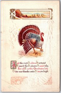 Thanksgiving Greetings, Turkey, Golden Harvest Scene & Poetic Verse, Postcard