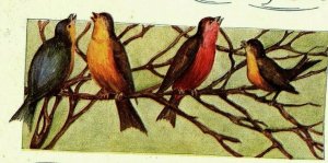 1907-15 A Merry Christmas Postcard Song Birds Embossed Happy New Year 