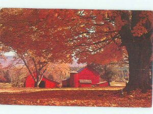 Pre-1980 FARM IN AUTUMN Catskills - Cairo - Near Hudson & Saugerties NY AD5693