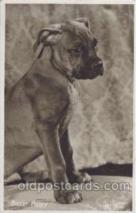 Boxer Dog 1953 postal used 1953