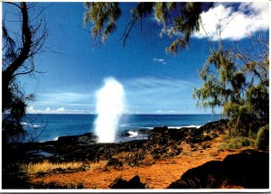 Hawaii Kauai The Spouting Horn