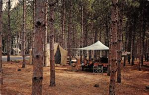 Waupaca Wisconsin Hartman Creek State Park Camping Vintage Postcard K98193