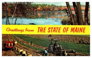 Postcard FARM SCENE State of Maine ME AR3446