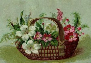 Gill's Prescription Drug Store Flower Basket Victorian Trade Card Phila PA 