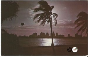 Vintage Night Scene Postcard, Zeppelin Flying over Miami Florida Magic City