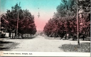 Vtg 1910s North Union Street Delphi Indiana IN Unposted Postcard