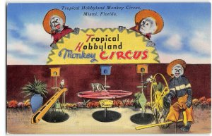 Tropical Hobbyland Monkey Circus, Miami, Florida Amusement Park 1950s Postcard