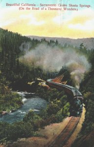 USA Sacramento Canyon Shasta Springs Train California Vintage Postcard 03.71