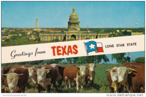 Greetings From Texas Showing Capitol Building and Cattle