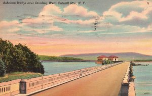 Vintage Postcard 1948 Ashokan Bridge over Dividing Weir Mts. NY New York