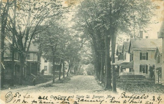 Bangor Maine  Grove & State Street, Early 1900s Houses B&W UDB Postcard