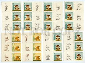 501201 USSR 1964 year block three stamps mushrooms w/ MARGINS