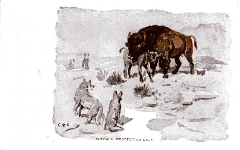 Charlie Russell, Buffalo Protecting Calf Divided Back, c. 1912