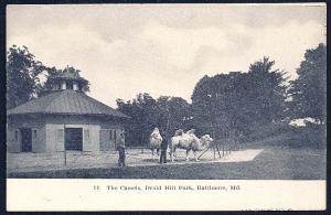 Camels @Druid Hill Park Baltimore Maryland unused c1905
