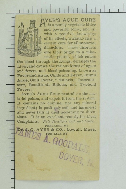 1880's-90's Ayer's Ague Cure Bayou Scene Anthropomorphic Frogs Alligator P92