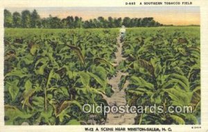 Southern Tobacco Field Farming Unused 