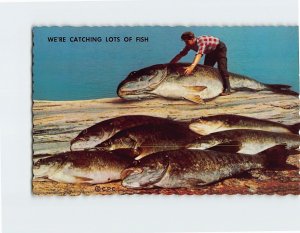 Postcard We're Catching Lots of Fish Greetings from Ridgeway Ontario Canada