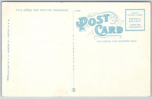 Olympia Washington 1920s Postcard State Capitol