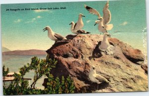 postcard Utah - Seagulls on Bird Island, Great Salt Lake