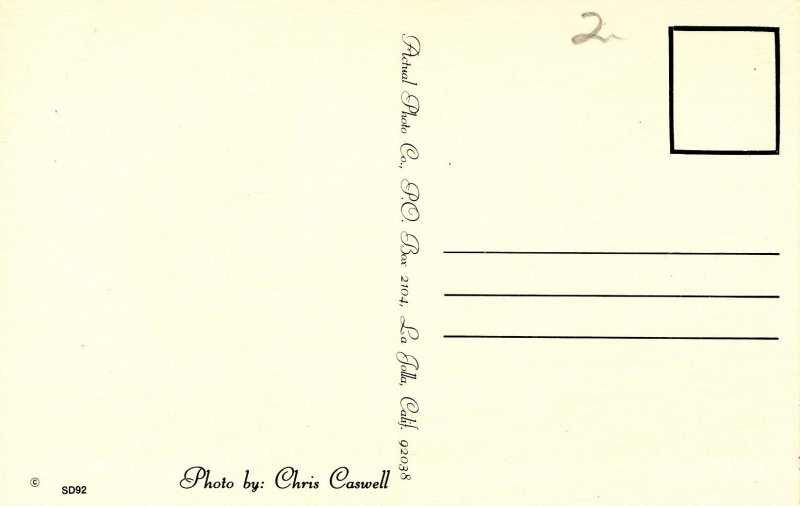 Sailing in Southern California