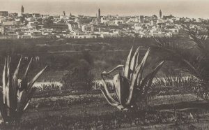 Meknes La Medina Morocco Real Photo Postcard