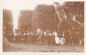 Families of Harvest Harpesfield Hall Hertfordshire Postcard