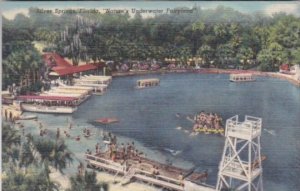 Florida Silver Springs Glass Bottom BOat Docks 1950 Curteich