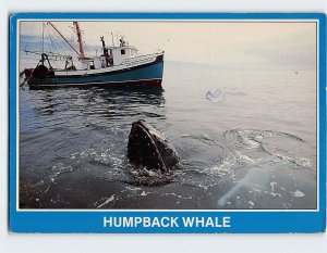 Postcard Humpback Whale, Brier Island, Canada