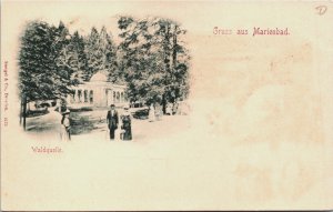 Czech Republic Gruss aus Marienbad Waldquelle Marianske Lazne Postcard C069