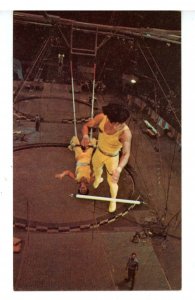 Circus - Ringling Bros & Barnum & Bailey Circus, Trapeze- The Flying Gaonas